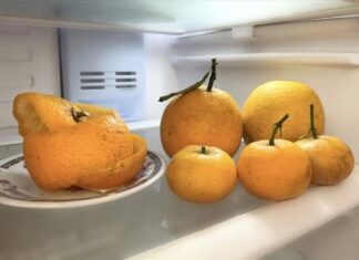 The Ultimate Guide to Fresh-Smelling Fridge: 5 Magic Ingredients to Eliminate Odors and Keep Your Fridge Sparkling Clean