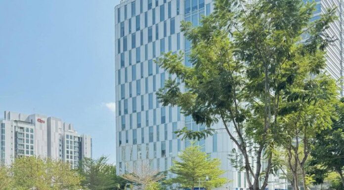 The Shirt Style that Dam Thu Trang Rocked This Summer: A Timeless Look for All Ages