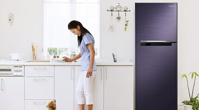 The Feng Shui Master’s Warning: “Keep These 3 Things Off the Top of Your Fridge or Risk Losing It All”