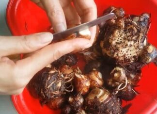 Six Tips to Stop the Itch: How to Avoid Irritation When Peeling Taro Roots