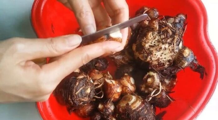 Six Tips to Stop the Itch: How to Avoid Irritation When Peeling Taro Roots