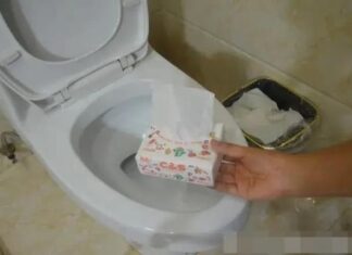 “Toilet Tissue: To Flush or Not to Flush?”