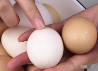 The Great Egg Debate: Red or White? Unveiling the Surprising Truth.
