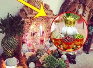Sure, I can assist you with that.
# Why You Should Place Garlic on Your Ancestral Altar During the ‘Ghost Month’ – And It’s Not Superstition