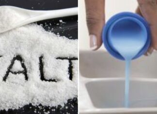 What Magic Does Fabric Softener and Salt Mixture Do That Many People Follow Suit?