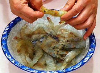 “The Great Shrimp Boil: A Delicate Dance with Water Temperature”
