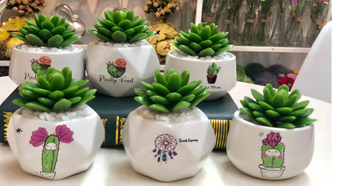 The Top 10 Shops for Stunning and Affordable Cacti in Ho Chi Minh City