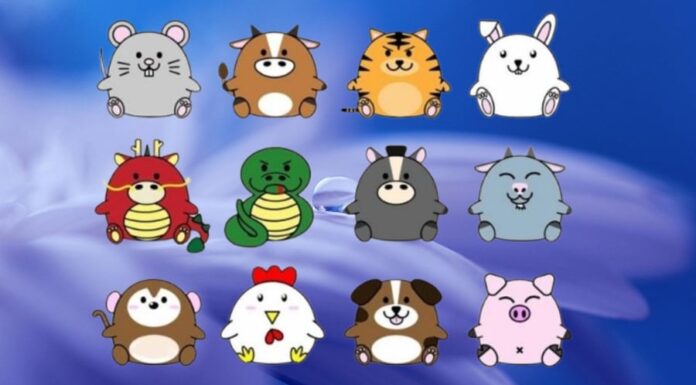 Why Are There Only 12 Chinese Zodiac Animals?