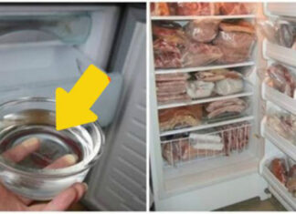 The Magic of a Bowl of Water in Your Fridge: Slash Your Energy Bills With This Simple Trick