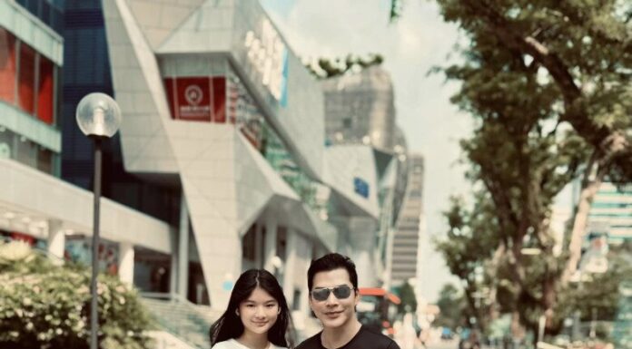 The Heiress of Truong Ngoc Anh: A Rising Star