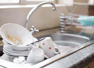 The Kitchen’s Dirty Secret: A Breeding Ground for Bacteria That Most People Ignore.