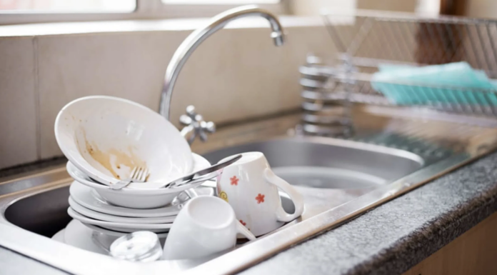 The Kitchen’s Dirty Secret: A Breeding Ground for Bacteria That Most People Ignore.