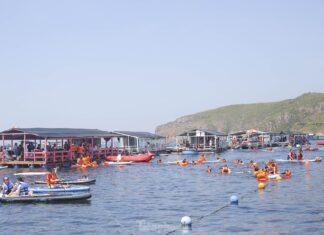The Golden Fields of Nhon Hai Village: A Breathtaking Sight for Travelers