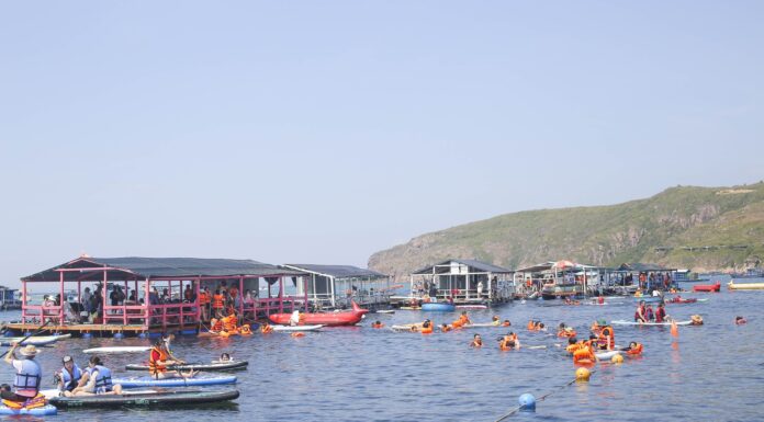 The Golden Fields of Nhon Hai Village: A Breathtaking Sight for Travelers