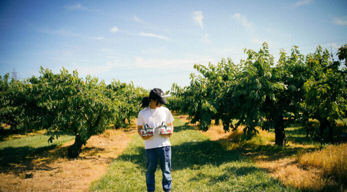 The Ultimate Fruit Feast: Indulge in the Finest Fruits with a Twist of Luxury