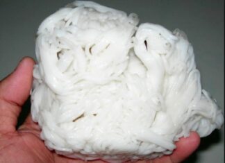 The Secret to Detecting Chemically-Enhanced Noodles Lies in a Few Drops of This Magic Fish Sauce