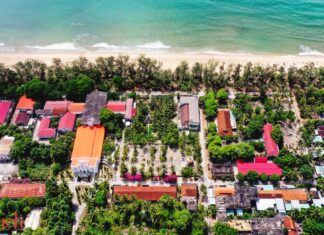 The Vibrant Wisteria of Central Vietnam: A Sight to Behold