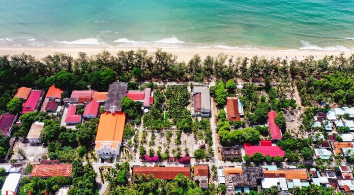 The Vibrant Wisteria of Central Vietnam: A Sight to Behold