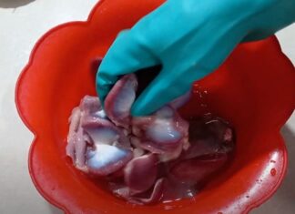 The Secret to Perfectly Crispy and Odorless Chicken Gizzard