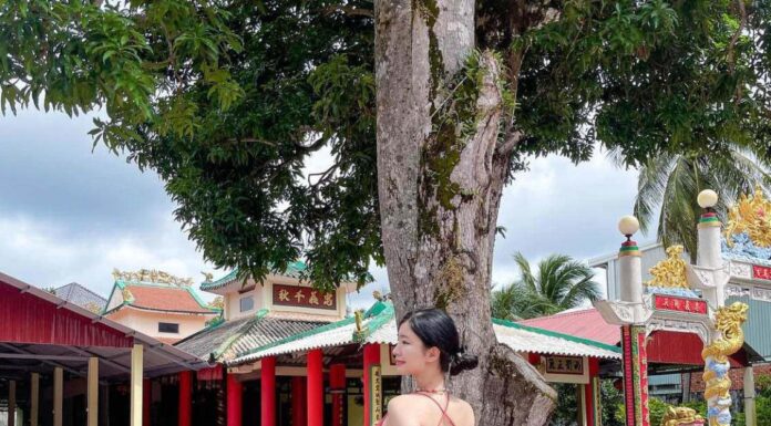 The Korean Beauty in Vietnam: A Sensational Story of a Figure-Hugging, Backless Dress Worn at a Sacred Site