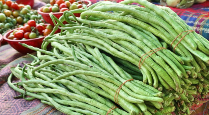 The Magic Berry: A Superfood in Disguise