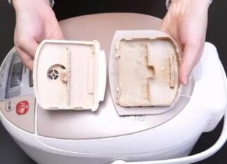 The 3 Key Areas in Your Rice Cooker That Need Regular Cleaning to Avoid High Power Consumption and Malfunctions