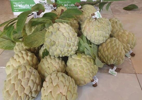 The Fruit That Was Once Overlooked Now Commands a Premium Price in the City