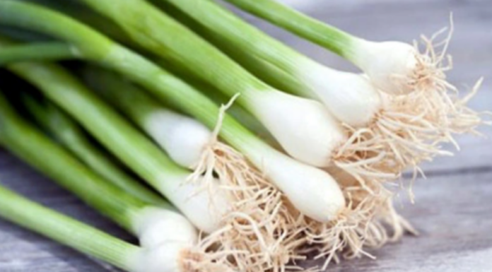 “Onion Leaves: A Tasty Treat or a Toxic Threat?”