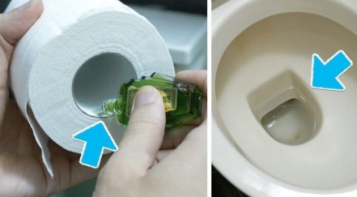 Breathe Easy: The Surprising Benefits of Scented Toilet Paper