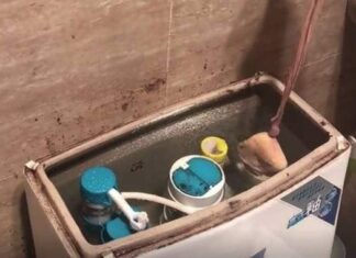 “The Magic Sock: A Month of Sparkling Cleanliness with Minimal Effort”