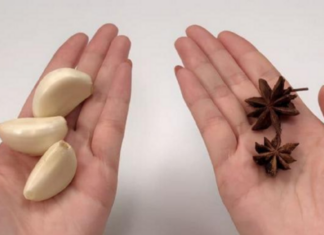 The Ultimate Rice Storage Solution: Keep Rice Fresh and Pest-Free for Years