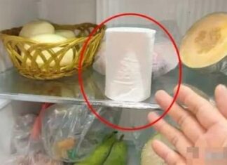 The Ultimate Solution to a Fresher Fridge: A Simple Trick to Keep Odors at Bay All Year Round