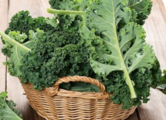 The Magic Elixir: A Glass of Nature’s “Ginseng for the Poor”