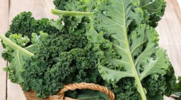 The Magic Elixir: A Glass of Nature’s “Ginseng for the Poor”