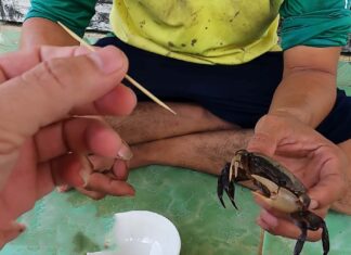 The Ultimate Guide: Two Ways to Secure Your Crab’s Claws in an Instant