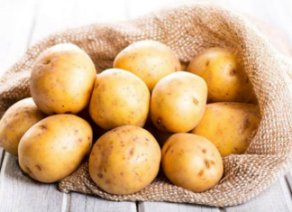 “The Three Don’ts” of Potato Consumption: A Tasty Tuber’s Guide to Safe Eating