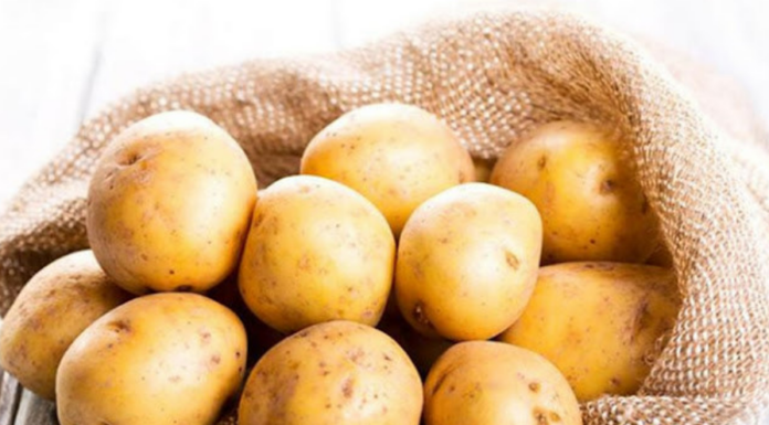 “The Three Don’ts” of Potato Consumption: A Tasty Tuber’s Guide to Safe Eating
