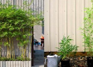 The Ultimate Guide to Wealth and Prosperity: Unlocking the Secrets of Fortune with Three Magical Trees