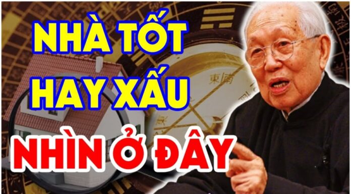 3 Lucky Visitors to the God of Wealth’s House: A Big Congratulations to the Second-Place Winner, You’re About to Strike Gold!