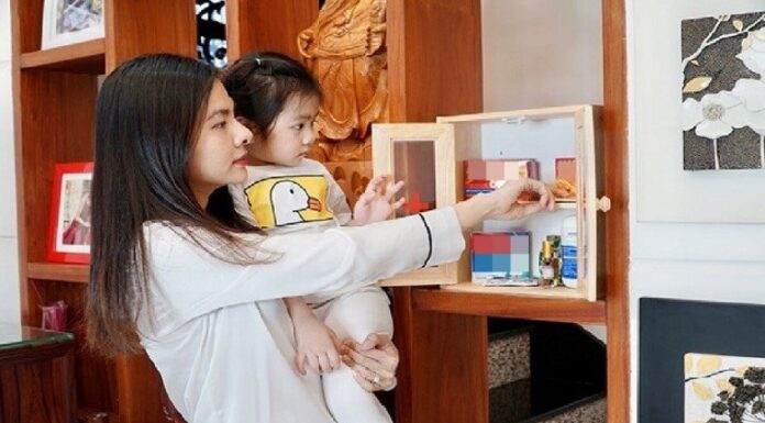 3 Things You Should Never Place in Your Home: A Guide to Healthy Living