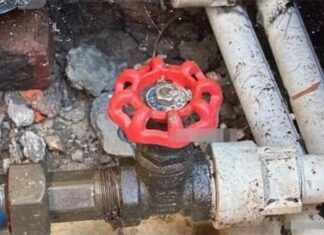 Is Your Water Meter Running Faster Than Usain Bolt? 3 Tips to Save Water and Your Wallet.