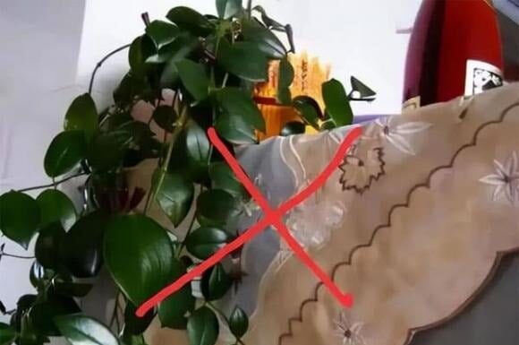 The Electrician’s Warning: “Don’t Keep These 3 Things on Top of Your Fridge – It’s a Waste of Energy and Harmful to Your Appliance”