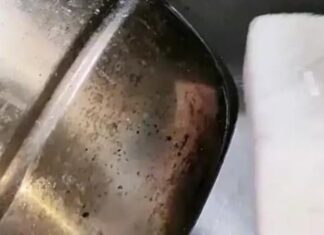 The Leftover Incense Sticks: Unveiling the Surprising Uses of Mosquito Coil Ashes