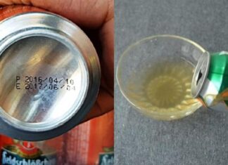 5 Types of “Waste Water” You Shouldn’t Throw Away: Creative Ways to Reuse and Recycle