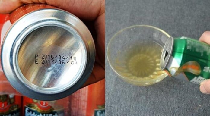 5 Types of “Waste Water” You Shouldn’t Throw Away: Creative Ways to Reuse and Recycle