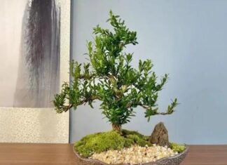 The Three Keys to a Prosperous Legacy: Unlocking Wealth, Fortune, and Fulfillment for Generations to Come.