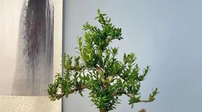 The Three Keys to a Prosperous Legacy: Unlocking Wealth, Fortune, and Fulfillment for Generations to Come.