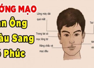 The Three Nose Types That Bring Wealth and Success: A Man’s Fortune Unveiled