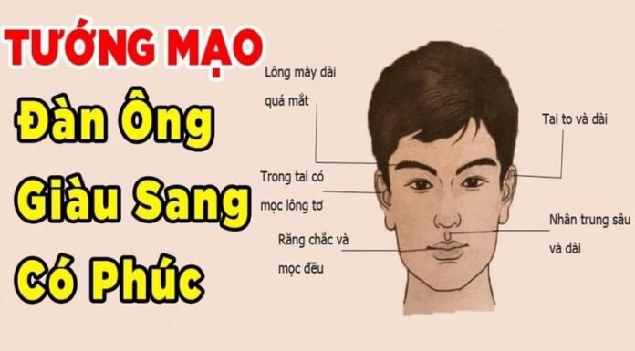 The Three Nose Types That Bring Wealth and Success: A Man’s Fortune Unveiled