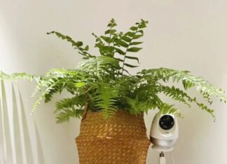 The 4 Things You Should Never Put Under Your Air Conditioner